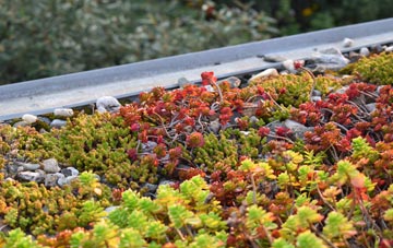 the cost of Deadmans Green green roof installation