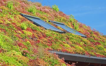 Deadmans Green living roof systems