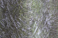 Deadmans Green fibreglass roof work